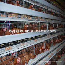 Hot Sale!!! High Quality Chicken Cage , Poultry Equipment